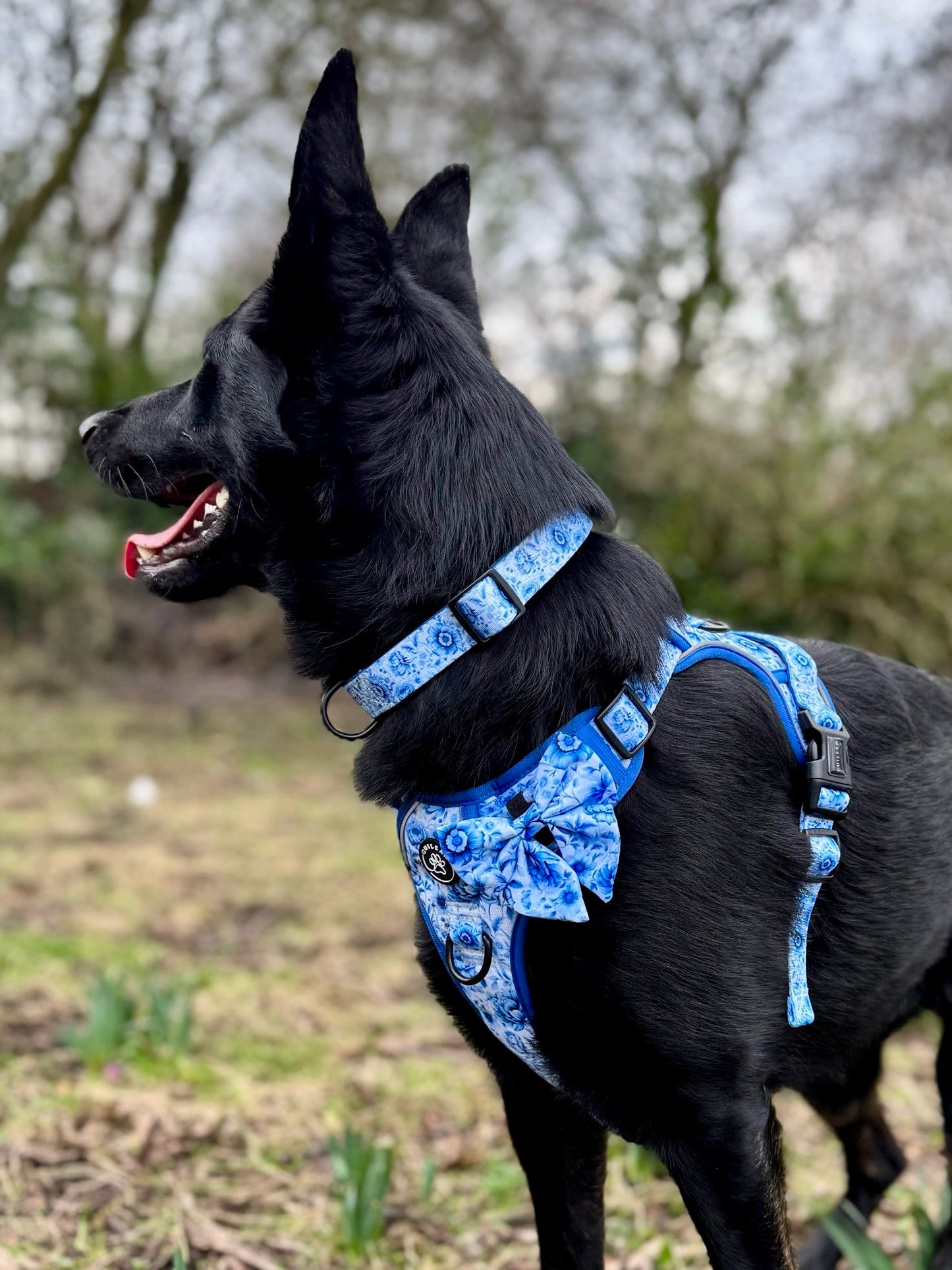 PORCELAIN - CUILEAN CLIMBER HARNESS