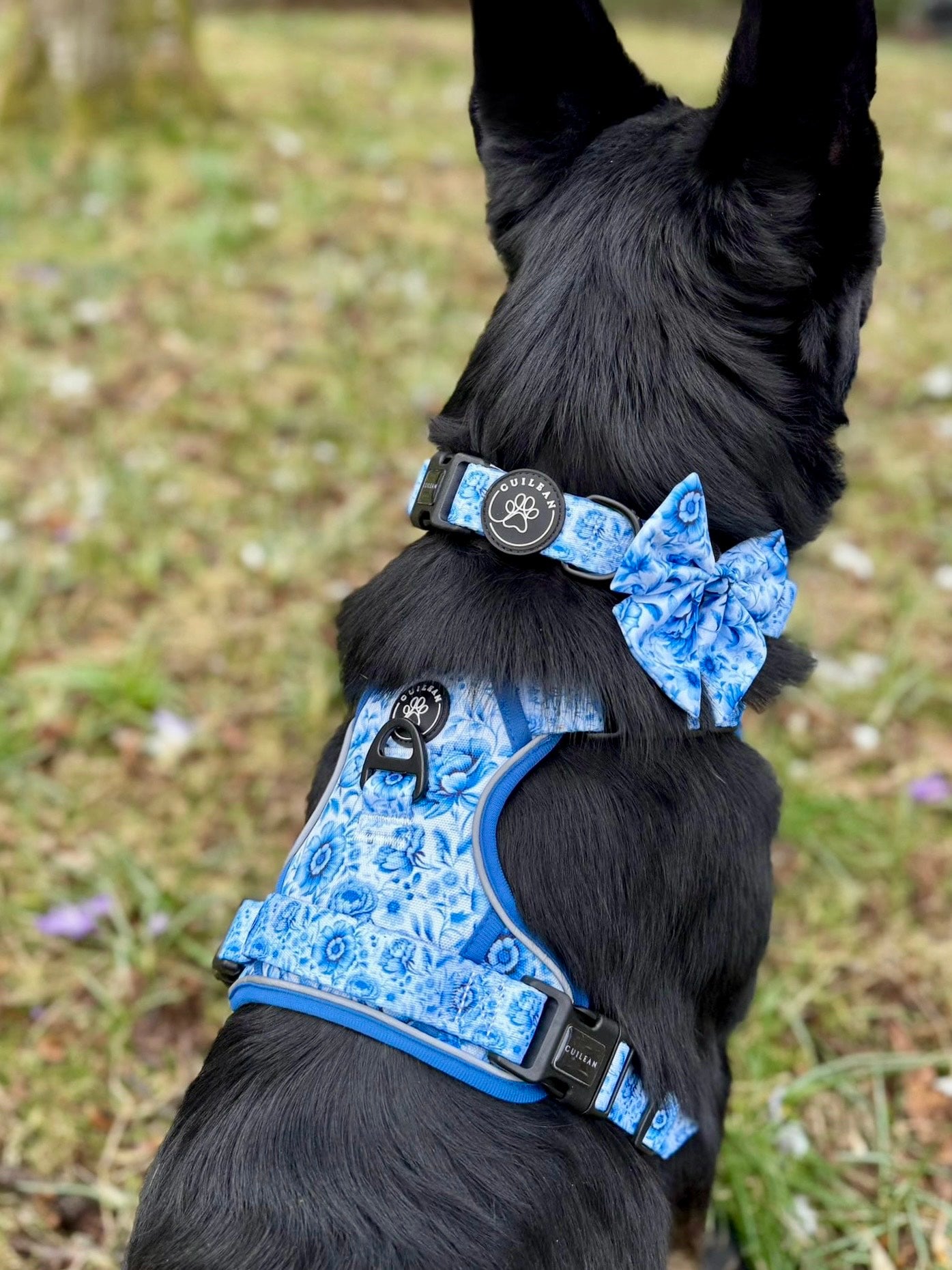 PORCELAIN - CUILEAN CLIMBER HARNESS