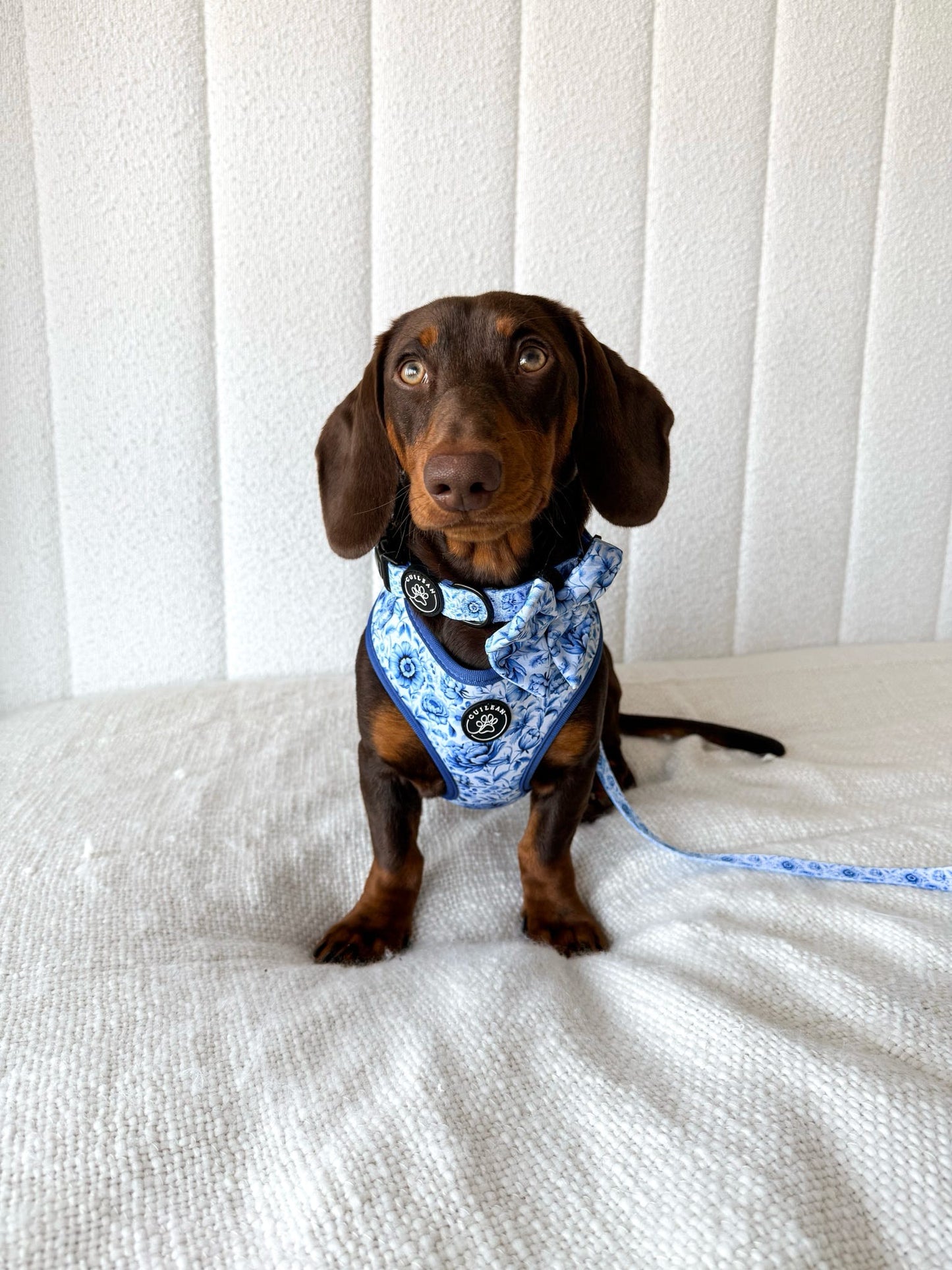 PORCELAIN - HARNESS