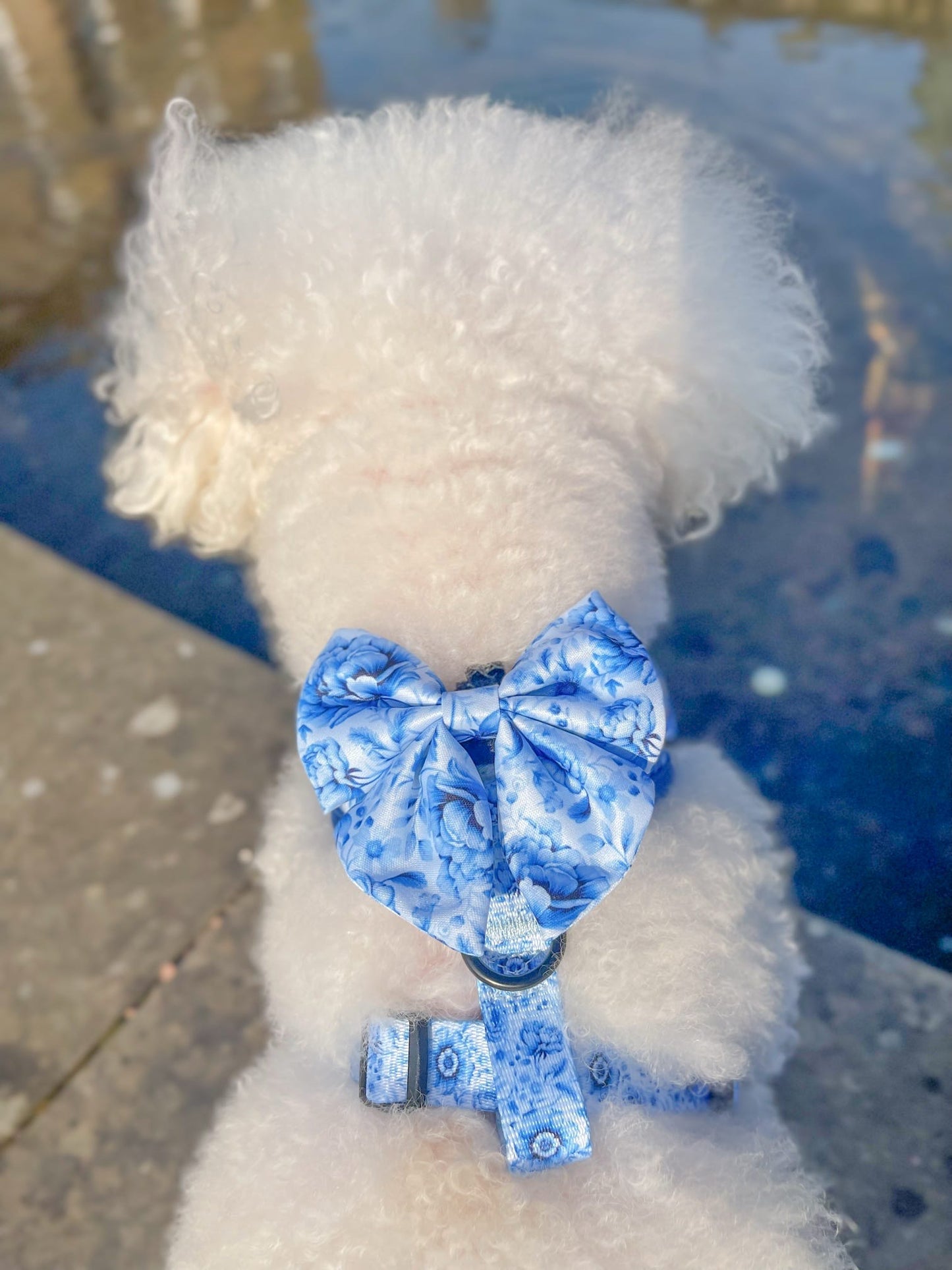 PORCELAIN - SAILOR BOW
