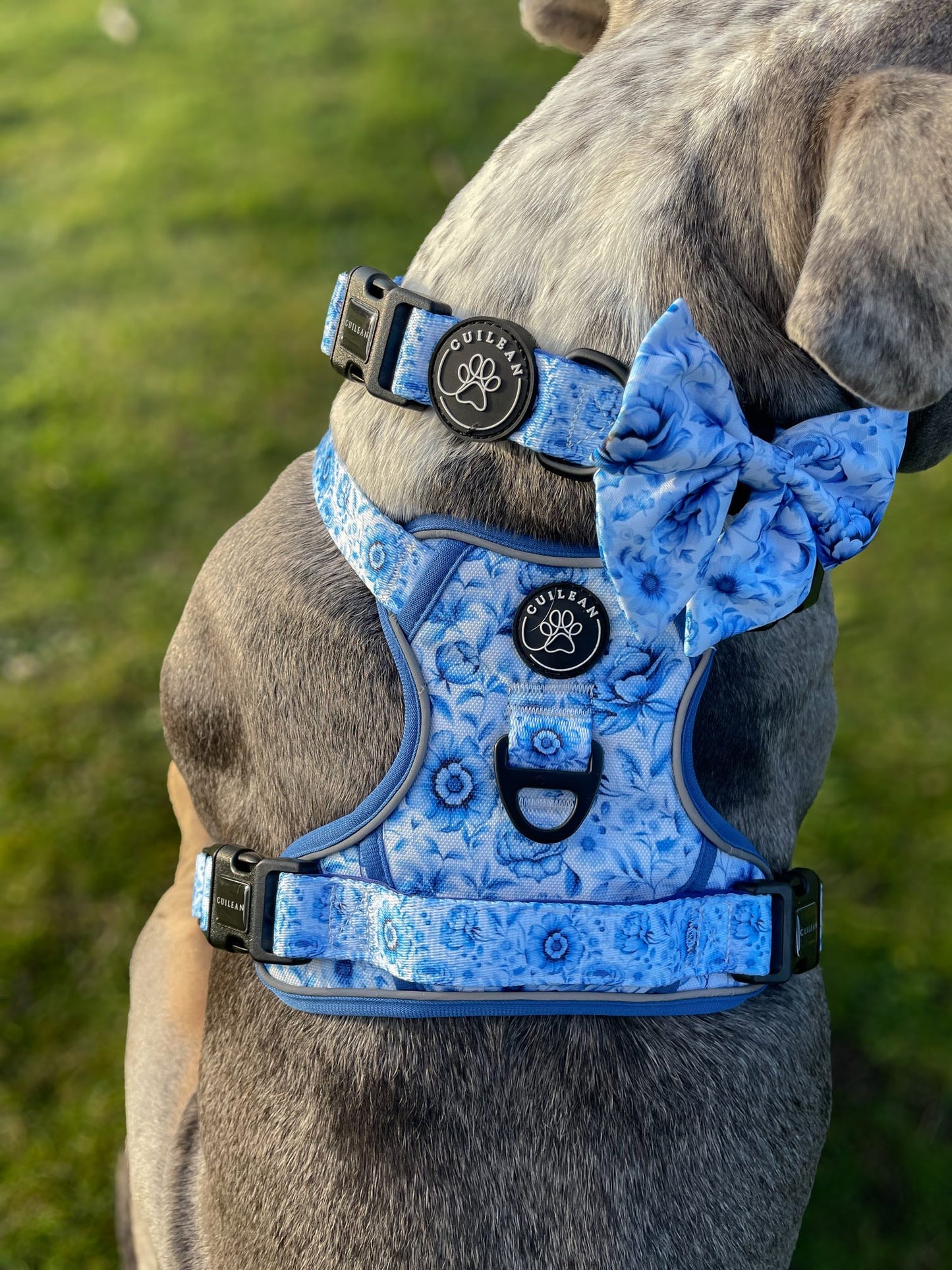 PORCELAIN - CUILEAN CLIMBER HARNESS