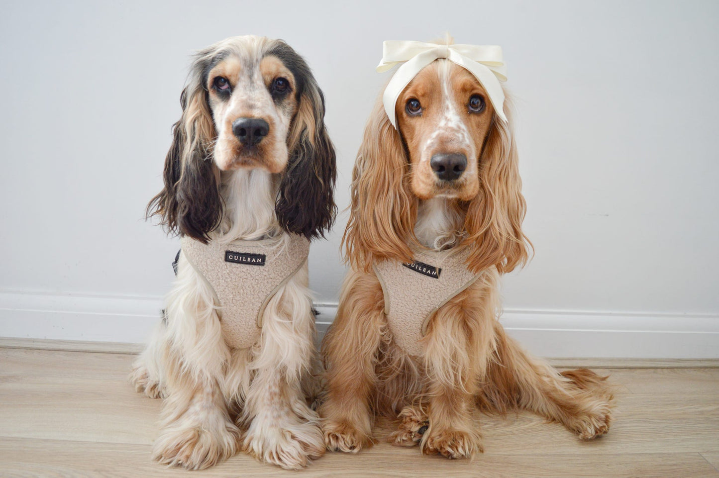 OATMEAL TEDDY - HARNESS