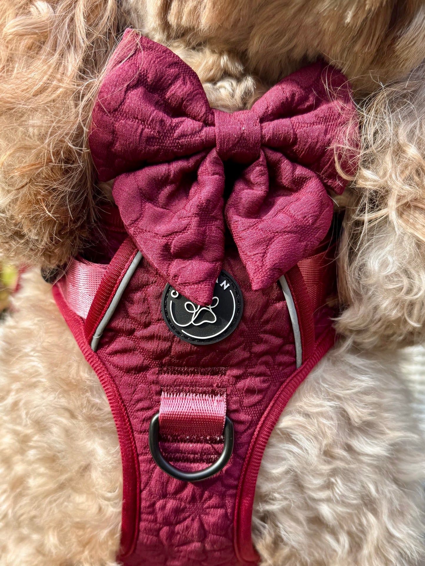 VERY BERRY - CUILEAN CLIMBER HARNESS