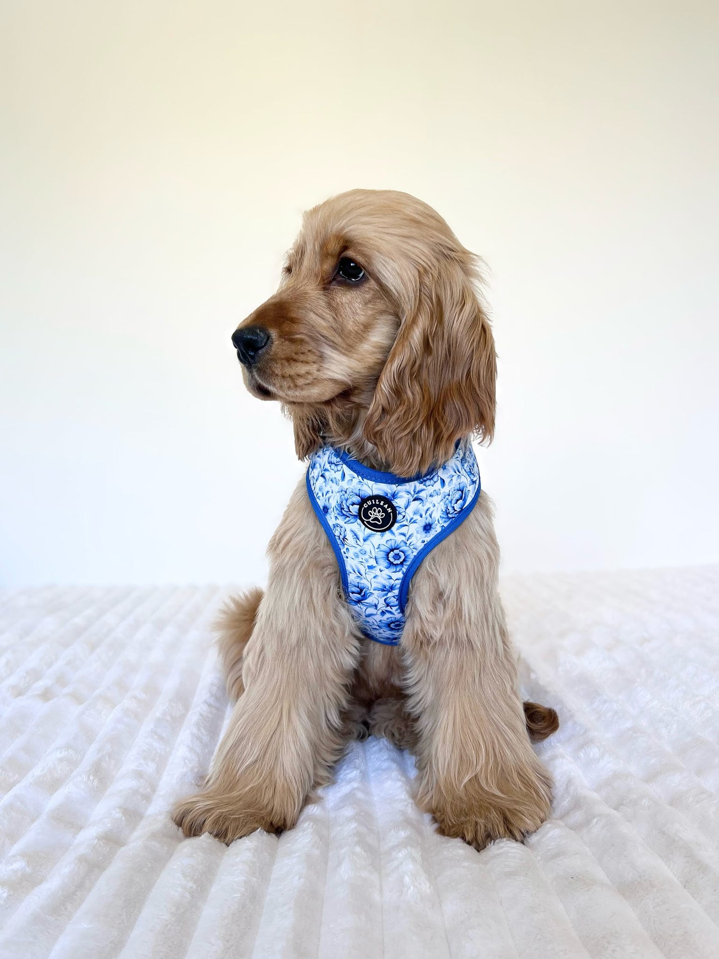 PORCELAIN - HARNESS