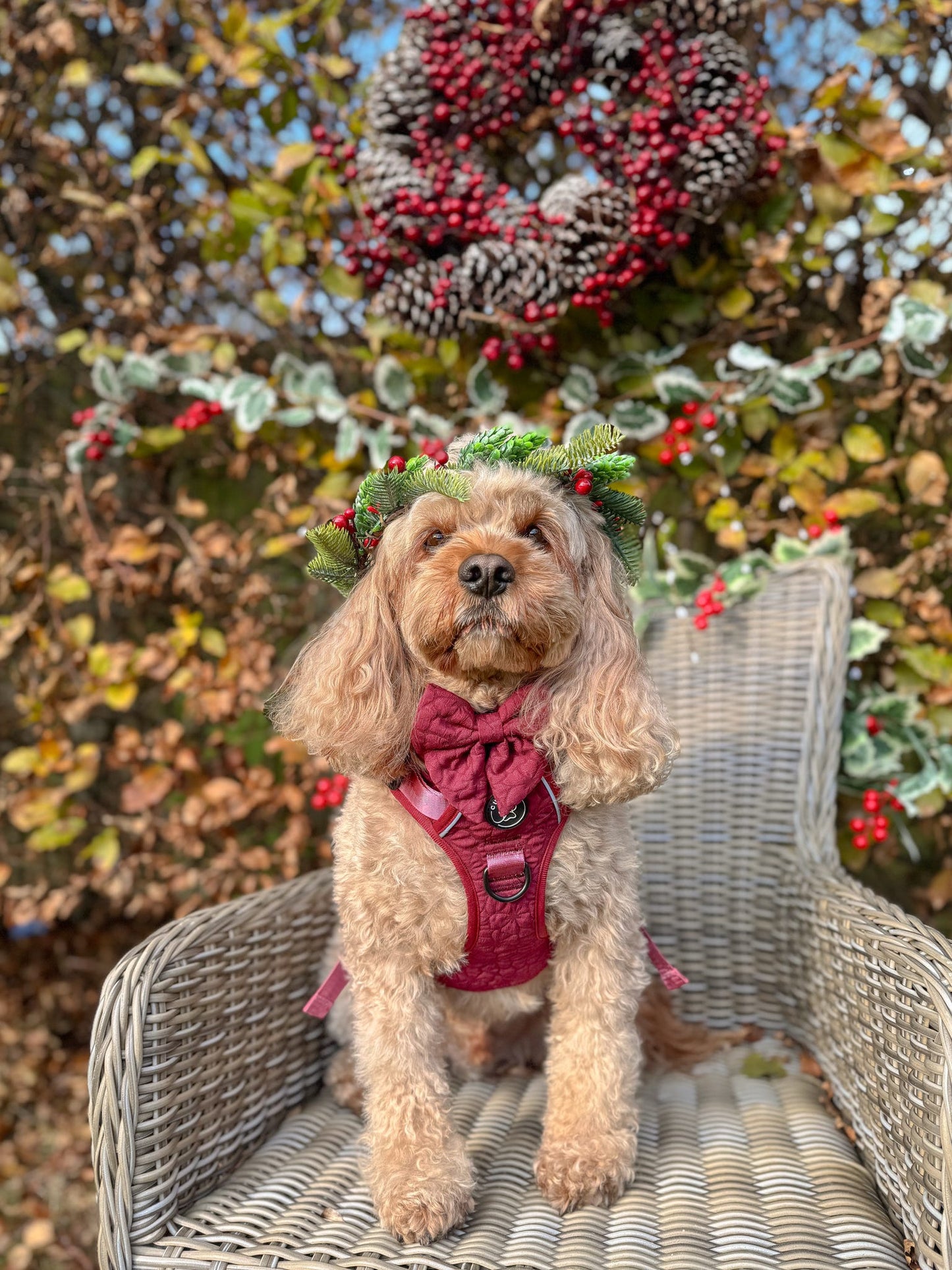 VERY BERRY - SAILOR BOW