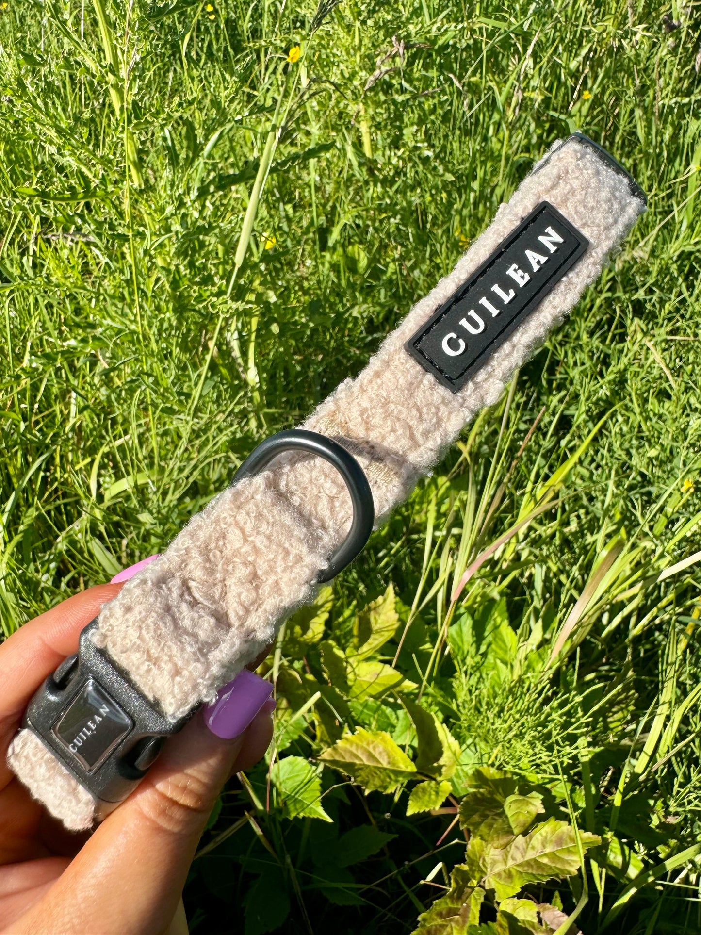 OATMEAL TEDDY - COLLAR