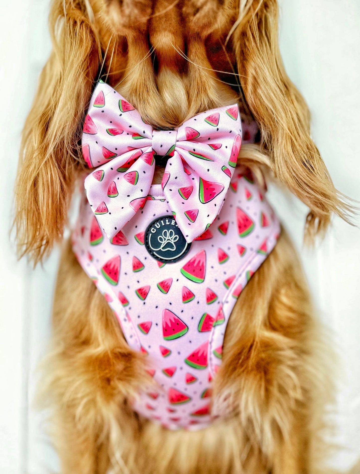 WATERMELON COOLER - SAILOR BOW