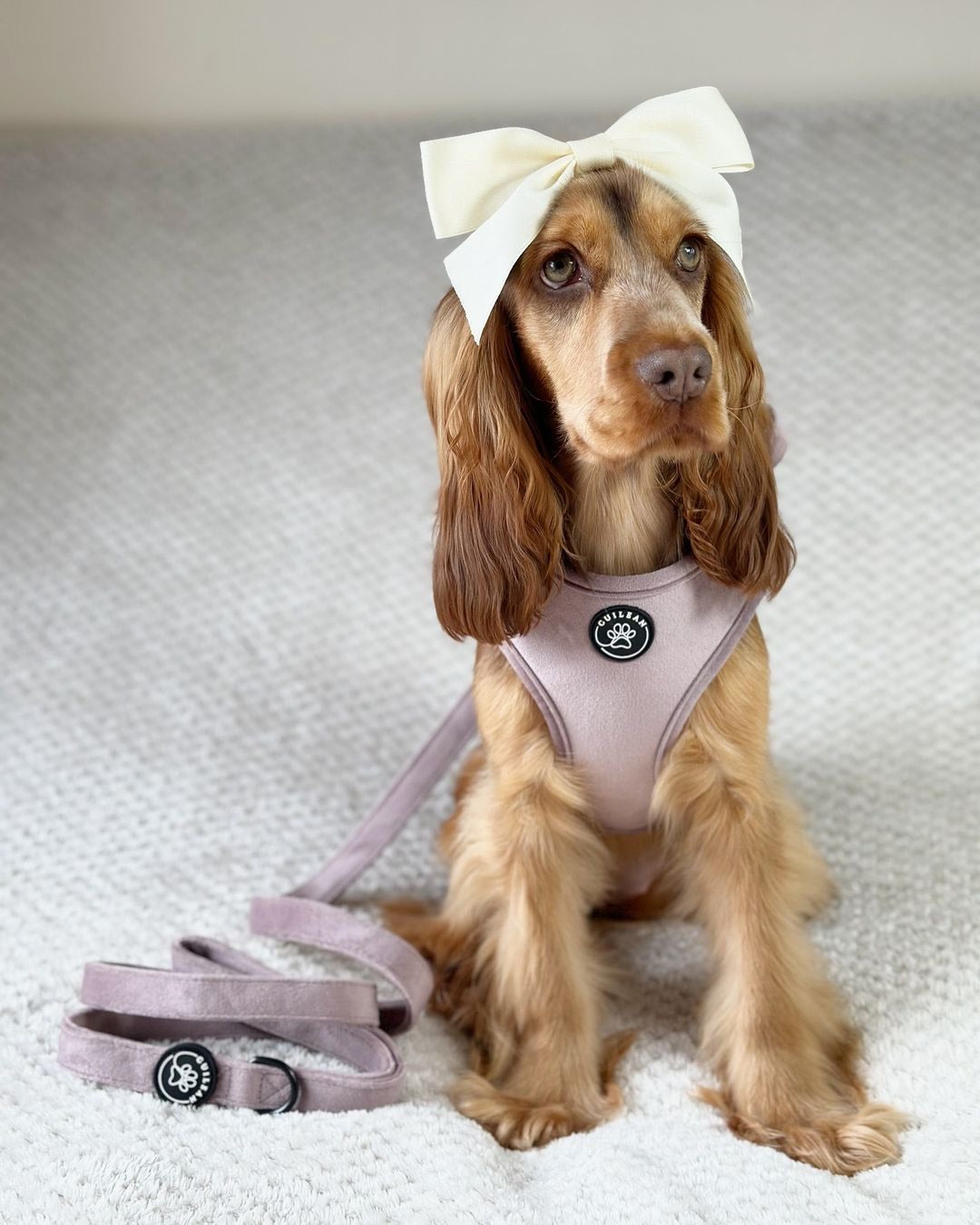 DUSTY ROSE - HARNESS