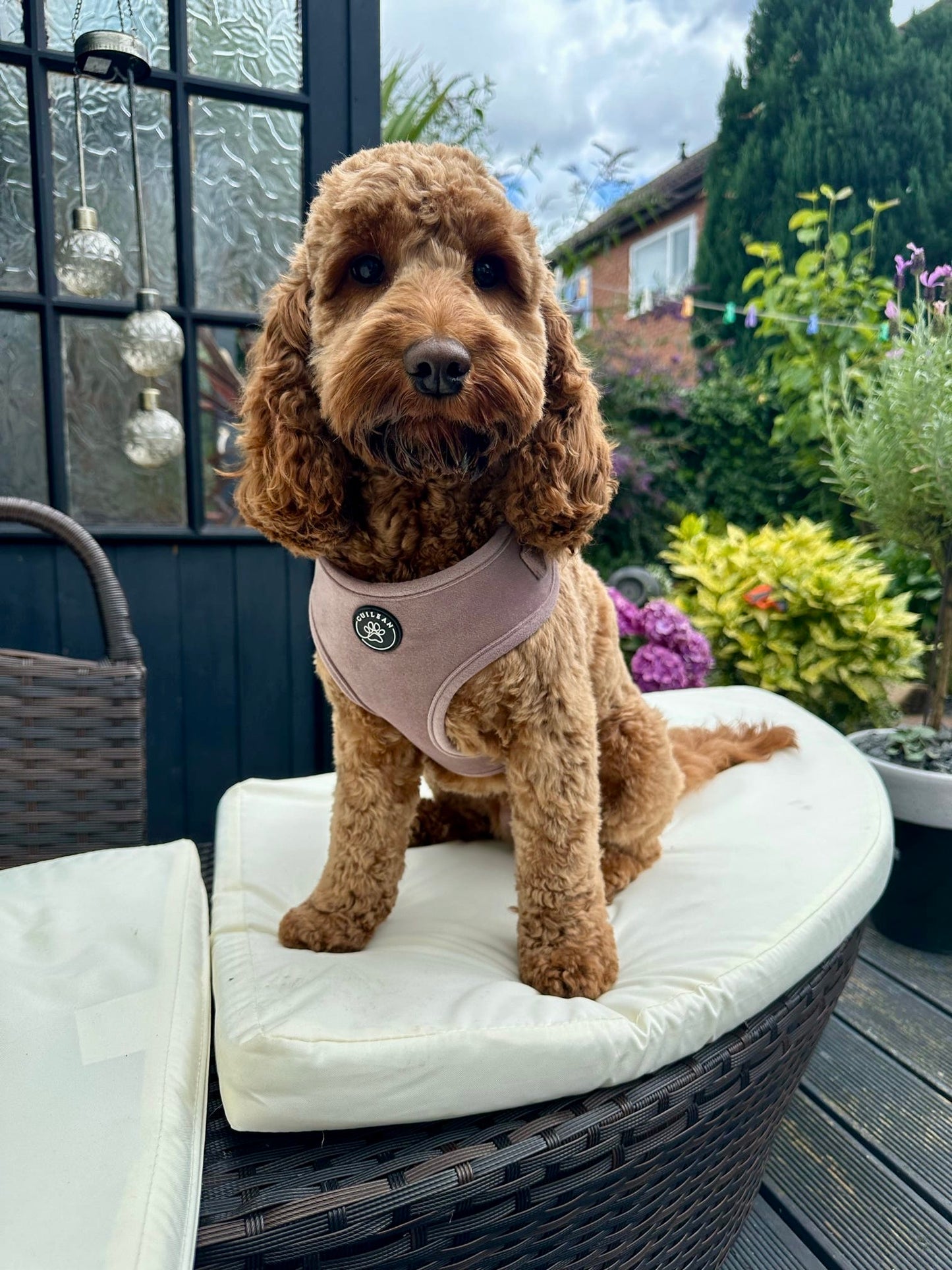 DUSTY ROSE - HARNESS