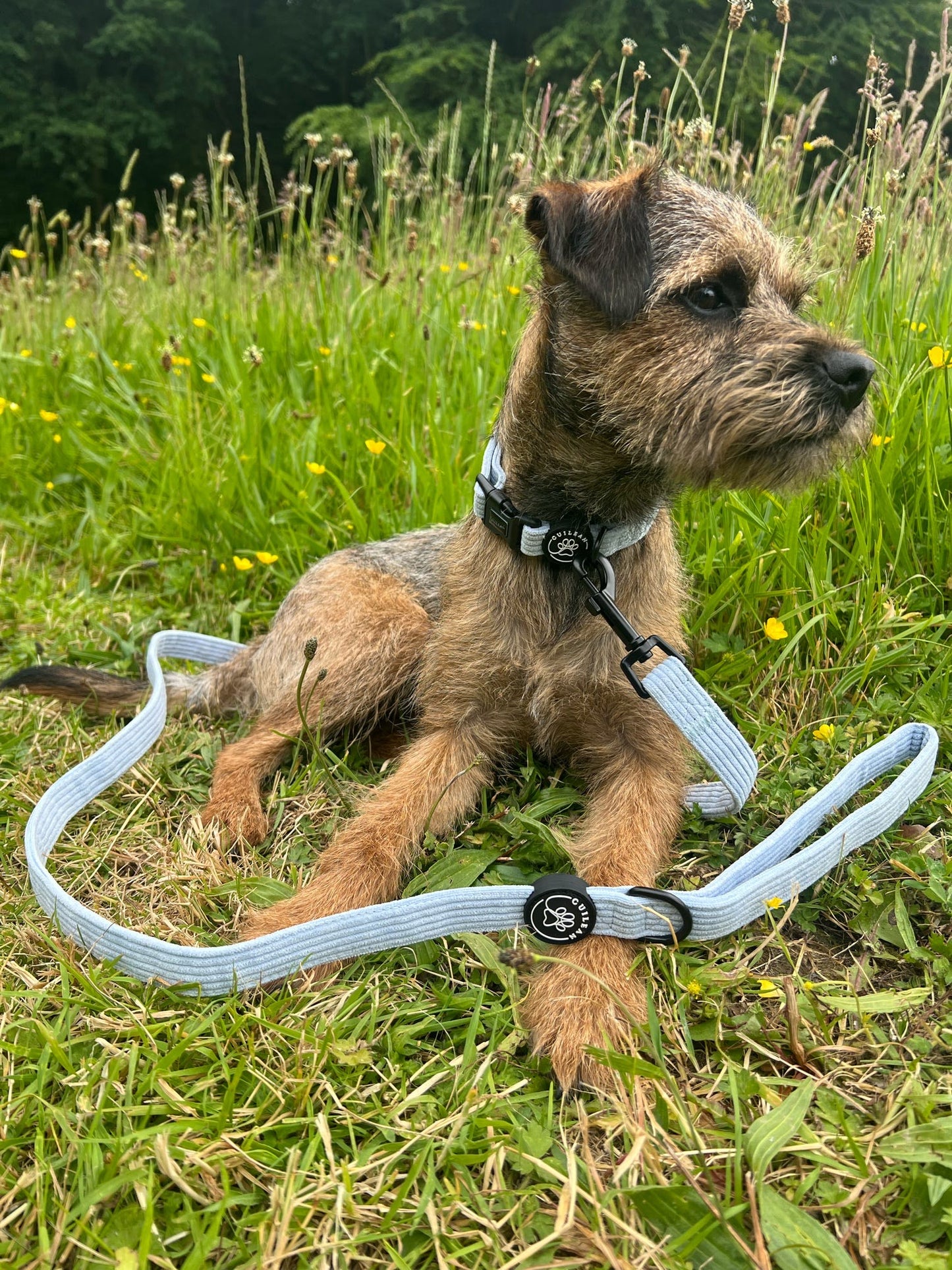 SEA BREEZE - COLLAR