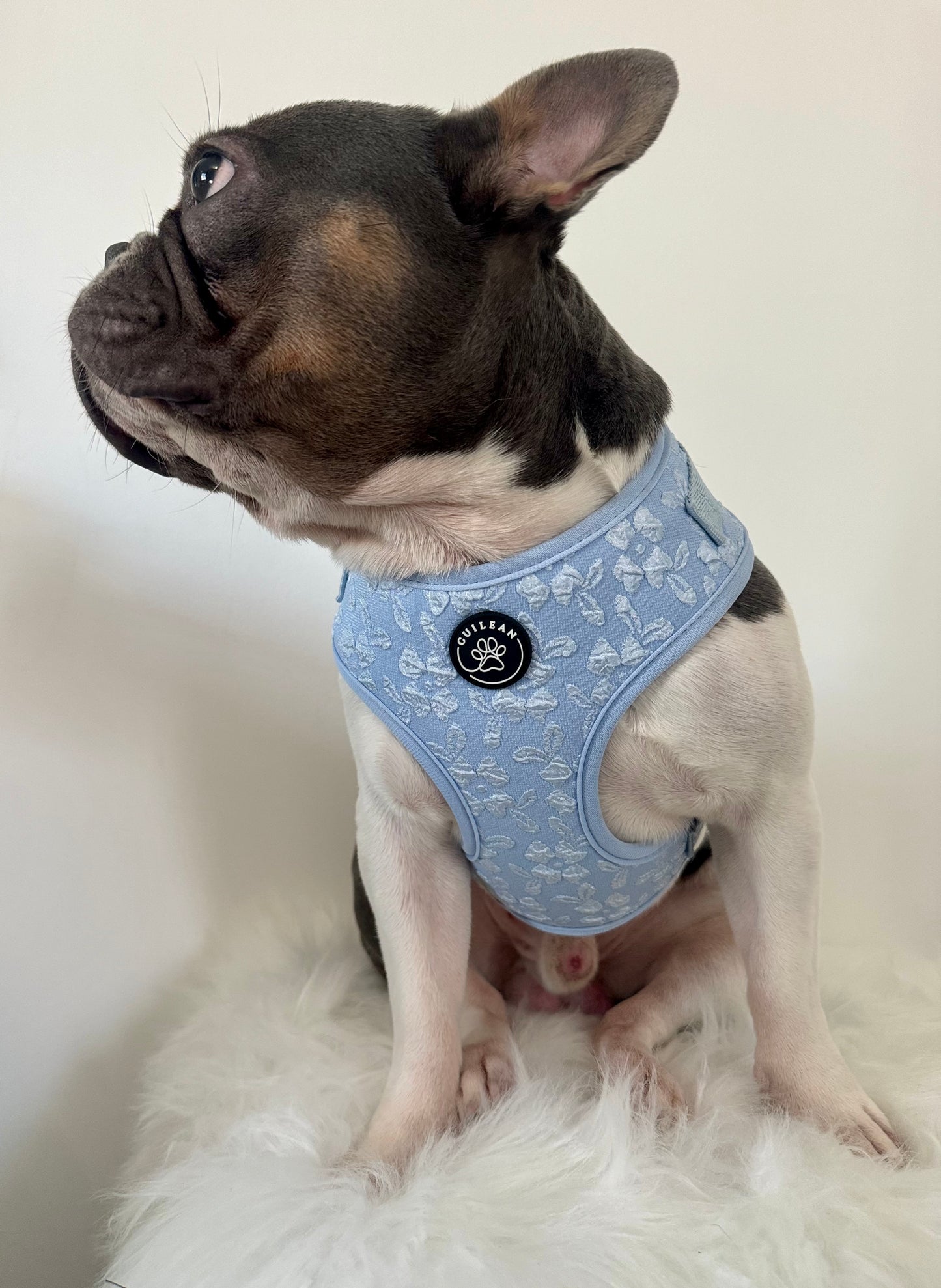 BLUEBELL - HARNESS