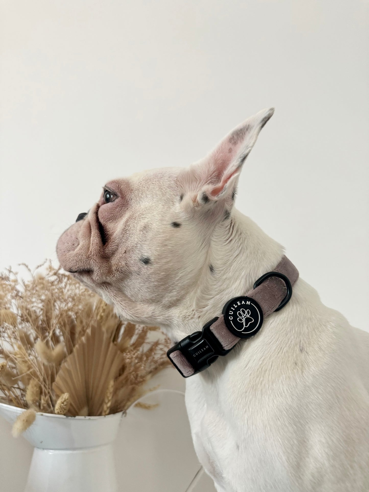 DUSTY ROSE - COLLAR