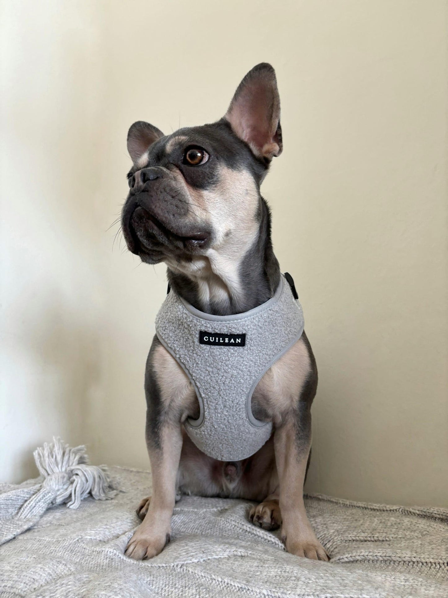 GRANITE - HARNESS