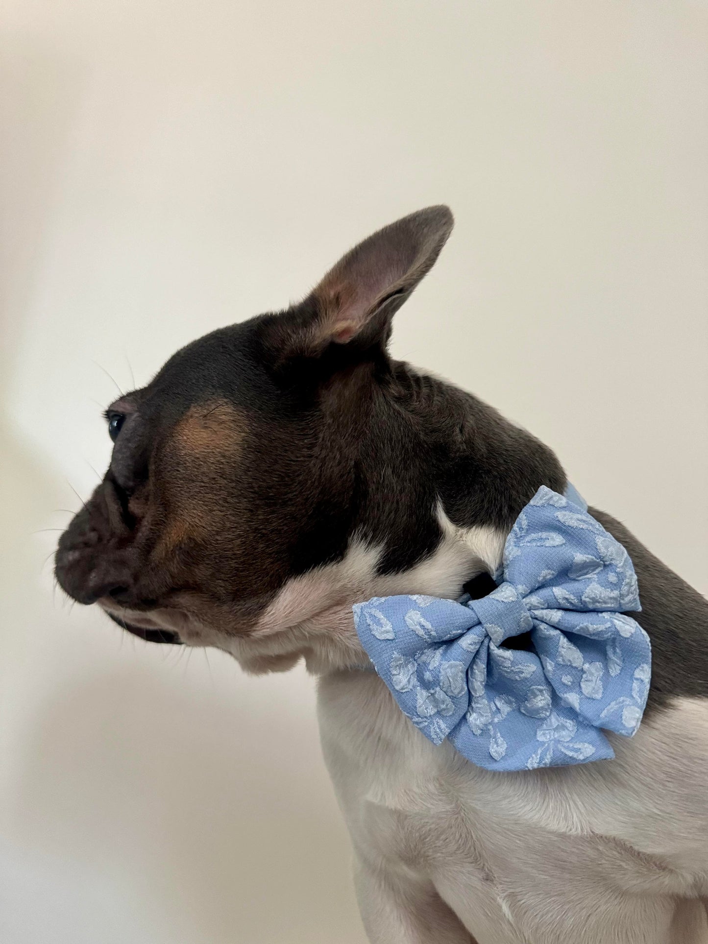 BLUEBELL - SAILOR BOW