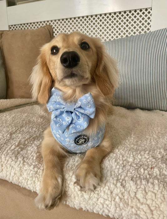 BLUEBELL - SAILOR BOW