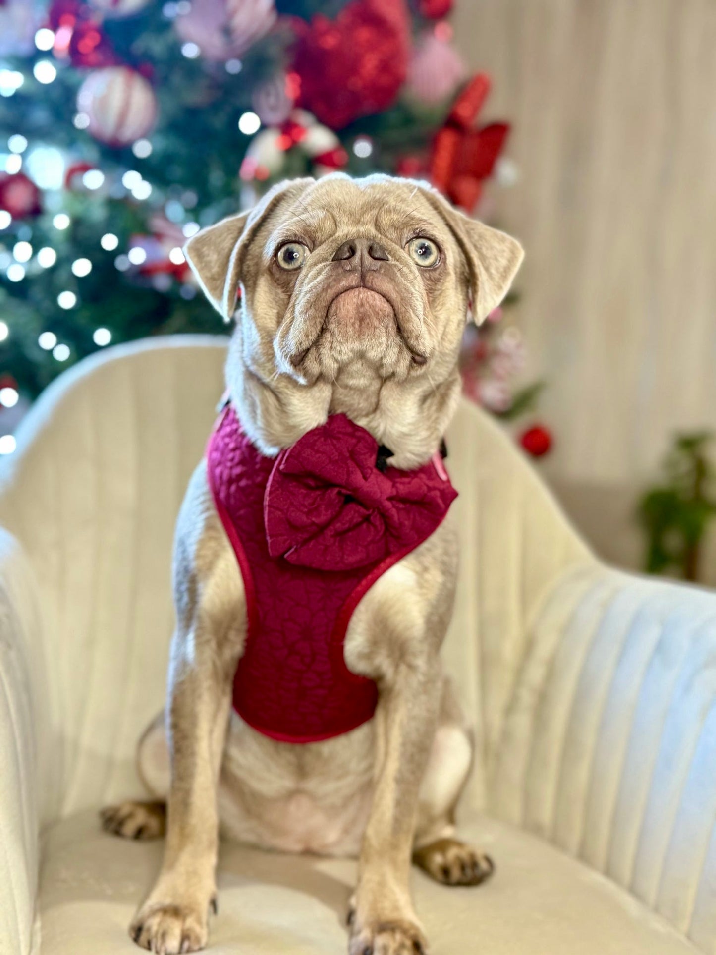 VERY BERRY - SAILOR BOW