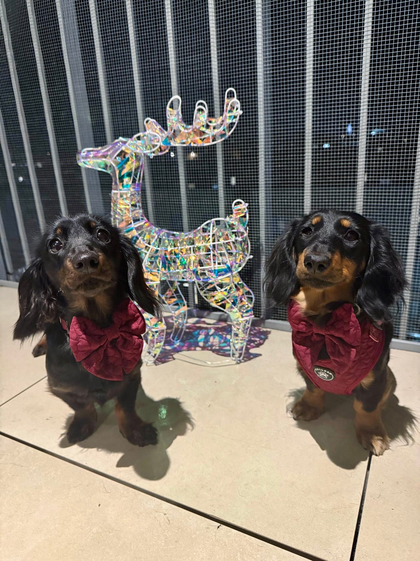 VERY BERRY - SAILOR BOW