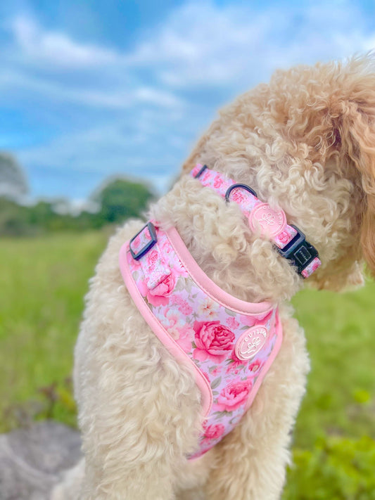 PEONY - COLLAR