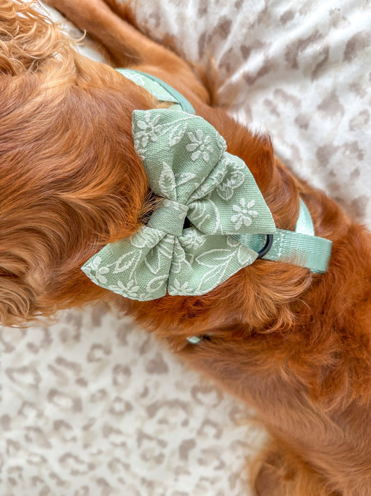 PANSY - SAILOR BOW