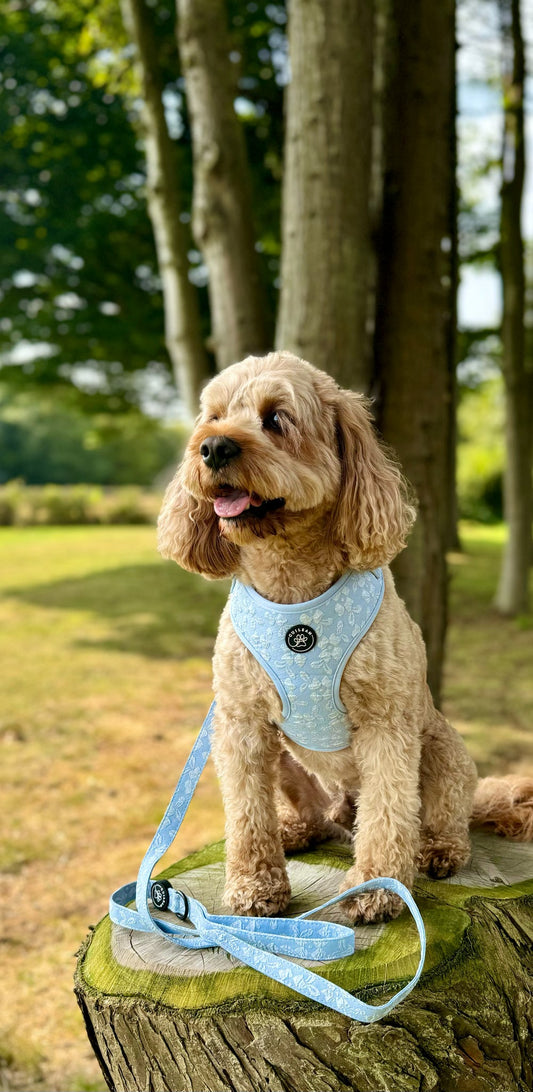 BLUEBELL - LEAD