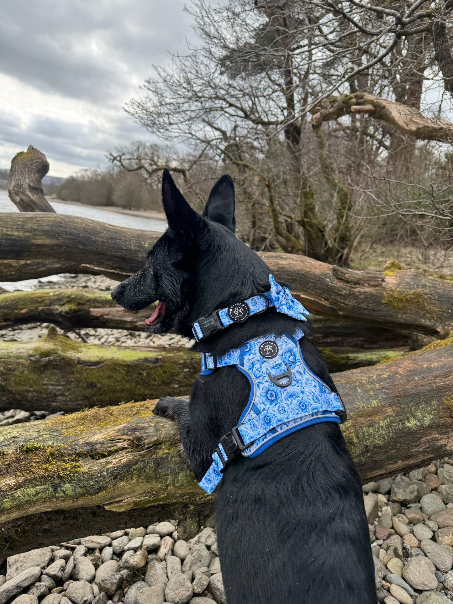 PORCELAIN - CUILEAN CLIMBER HARNESS
