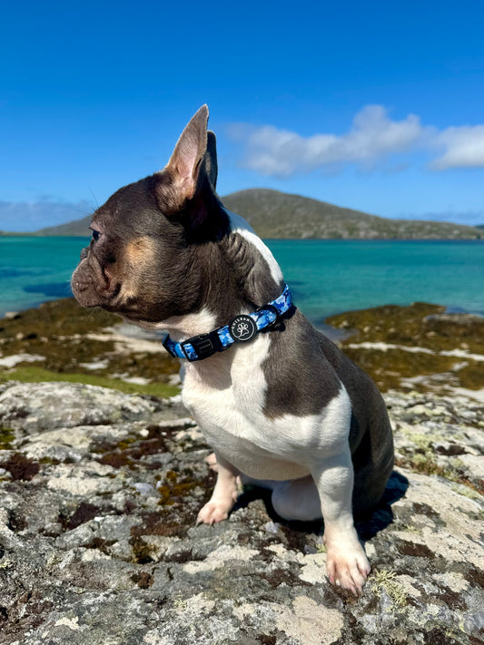 BLUE FORCE - COLLAR