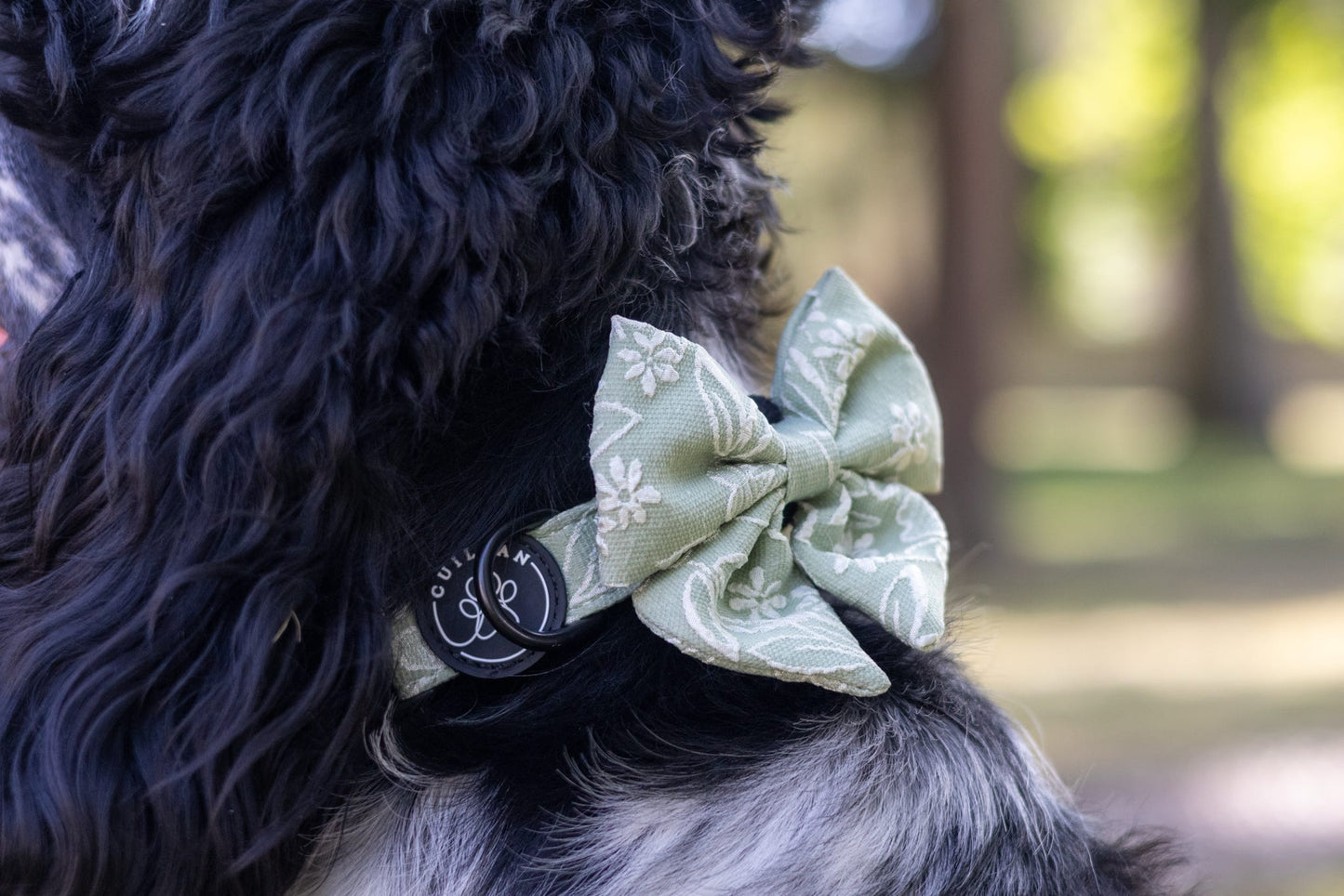 PANSY - SAILOR BOW