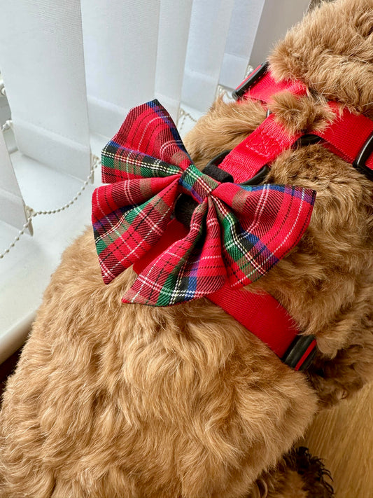 HIGHLANDER RED - SAILOR BOW