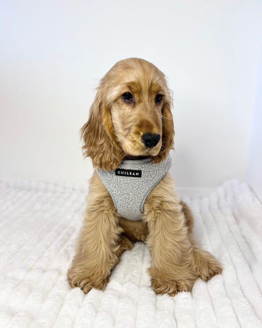 GRANITE - HARNESS